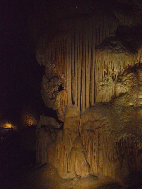 Caverne du Pont d'Arc - Grotte Chauvet